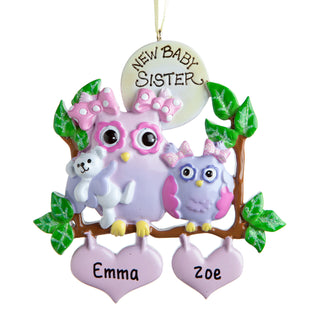 Personalized New Baby Sibling Owl Ornament---Girl/Girl