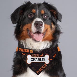 Trick Or Treat Personalized Dog Bandana