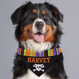 Happy Halloween Personalized Dog Bandana