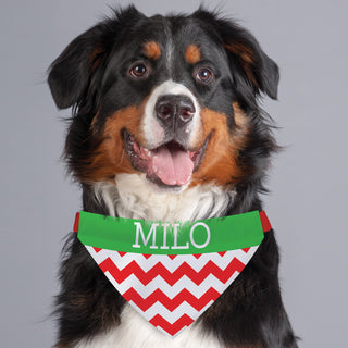 Christmas Chevron Personalized Dog Bandana