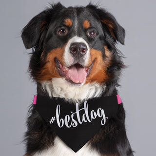 Hashtag Personalized Dog Bandana