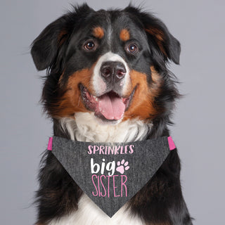 Personalized Big Sister Pet Bandana