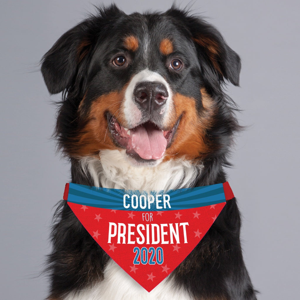 Dog for President Personalized Pet Bandana – Personalized Planet