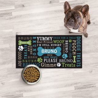 Pet Tag with name 