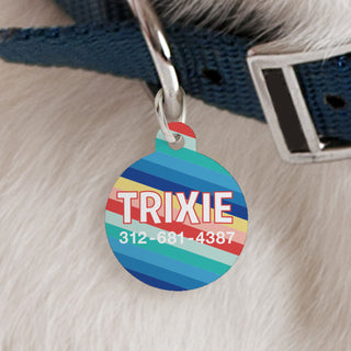 Colorful Stripes Round Pet Tag