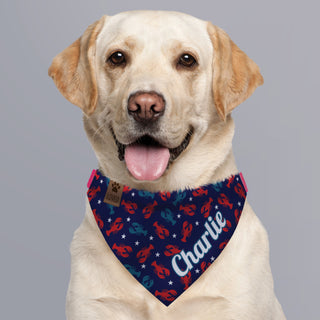 Lobster Pattern Pet Bandana