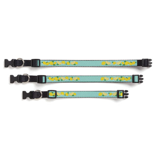 Lemon Pattern Pet Collar - 12"-16"- Small