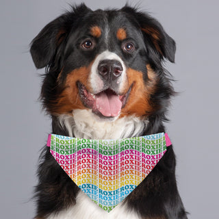 Rainbow Wave Name Pattern Dog Bandana