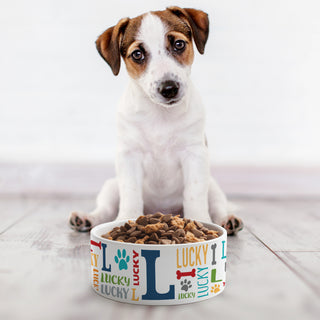 Primary Colors Name & Initial Pattern Pet Bowl - Small