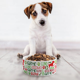 Festive Red & Green Dog Name Pattern Pet Bowl - Small