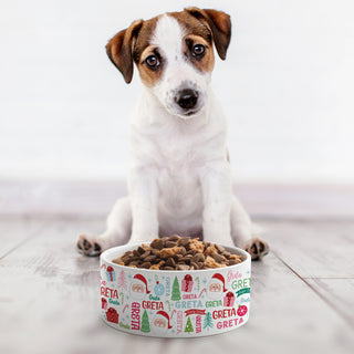 Whimsy Christmas Icons & Name Pattern Dog Bowl - Small